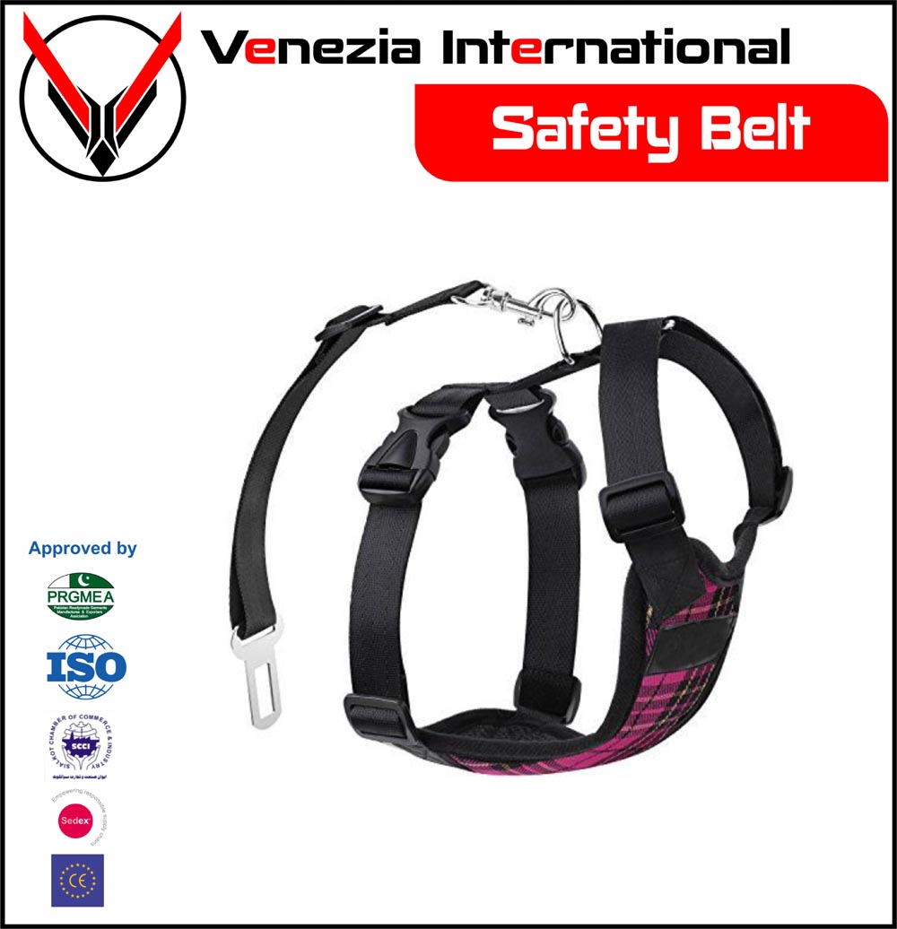 Safety Belts